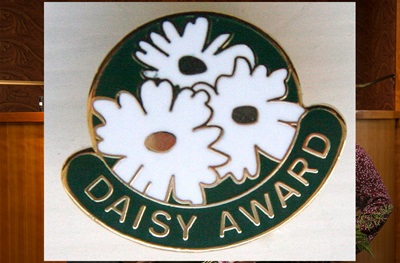 Award Pin
